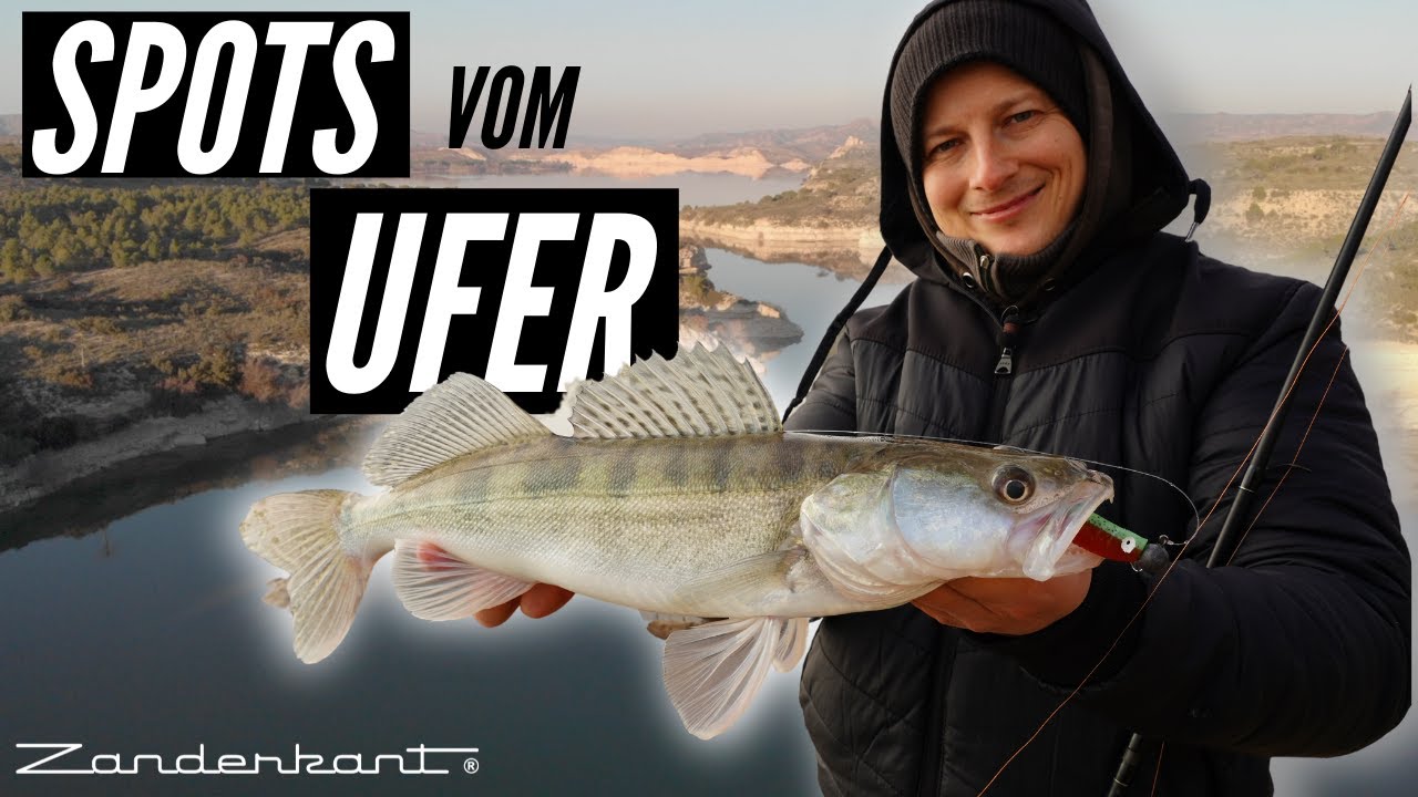 Angeln vom Ufer: SO fängst du Zander und Barsche am Stausee ohne Boot