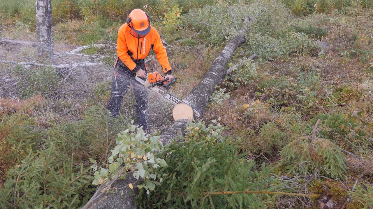 Stihl HEXA test MS 500i
