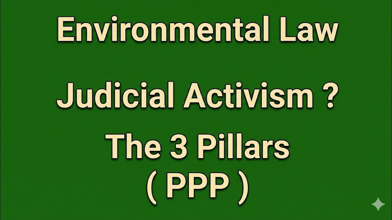 Environmental Law | What is Judicial Activism?  Landmark Cases | SEM 6 LLB Students