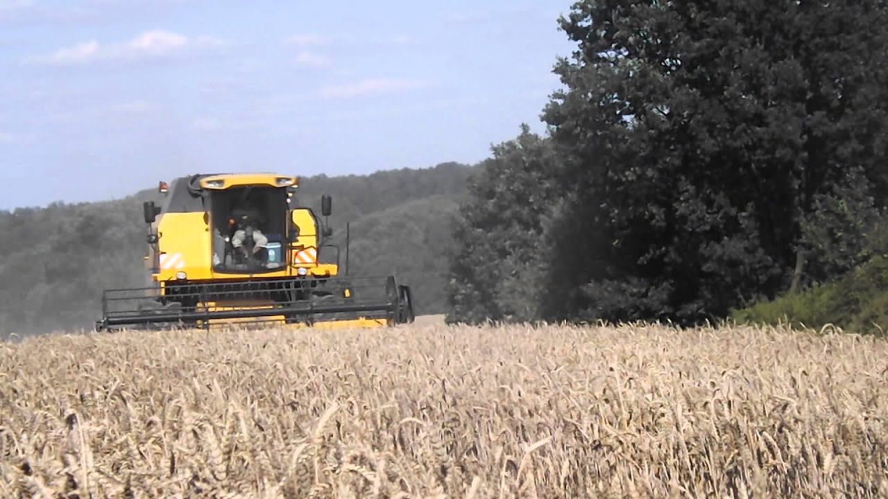 Żniwa 2015 Pszenica || New Holland TC5070\T6.165\T6080 ||GR.AgronoM||
