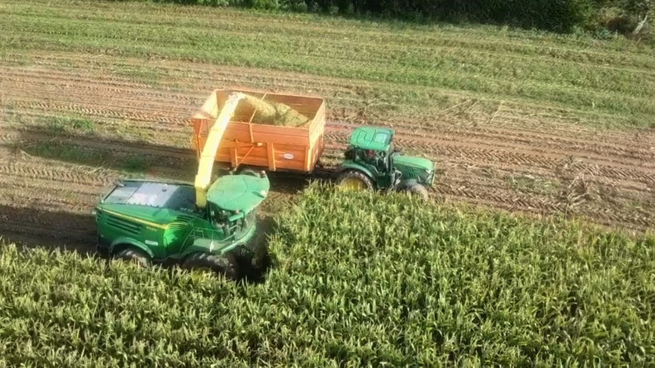 ENSILAGE DE MAÏS 2020- ETA PROVOST LAIRIE ( Drone ONLY )