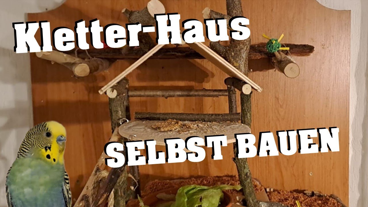 Wellensittich Kletterhaus SELBST BAUEN!