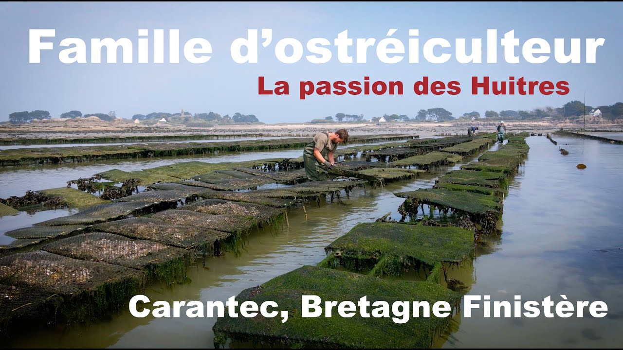 R&eacute;alisateur vid&eacute;aste Je vous pr&eacute;sente une famille d'ostr&eacute;iculteurs &agrave; Carantec en Bretagne.