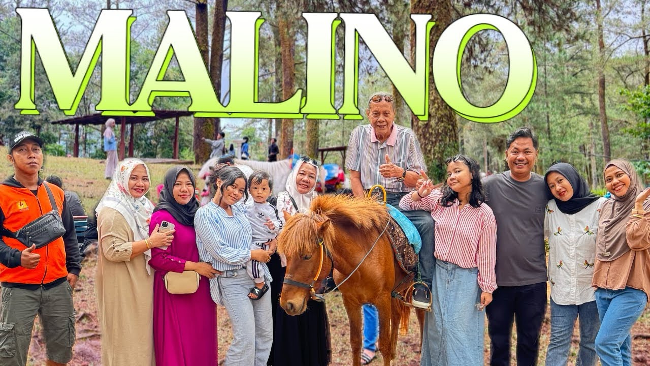Puncaknya Makassar- Malino Hutan Pinus Sulawesi Selatan. Indonesia 