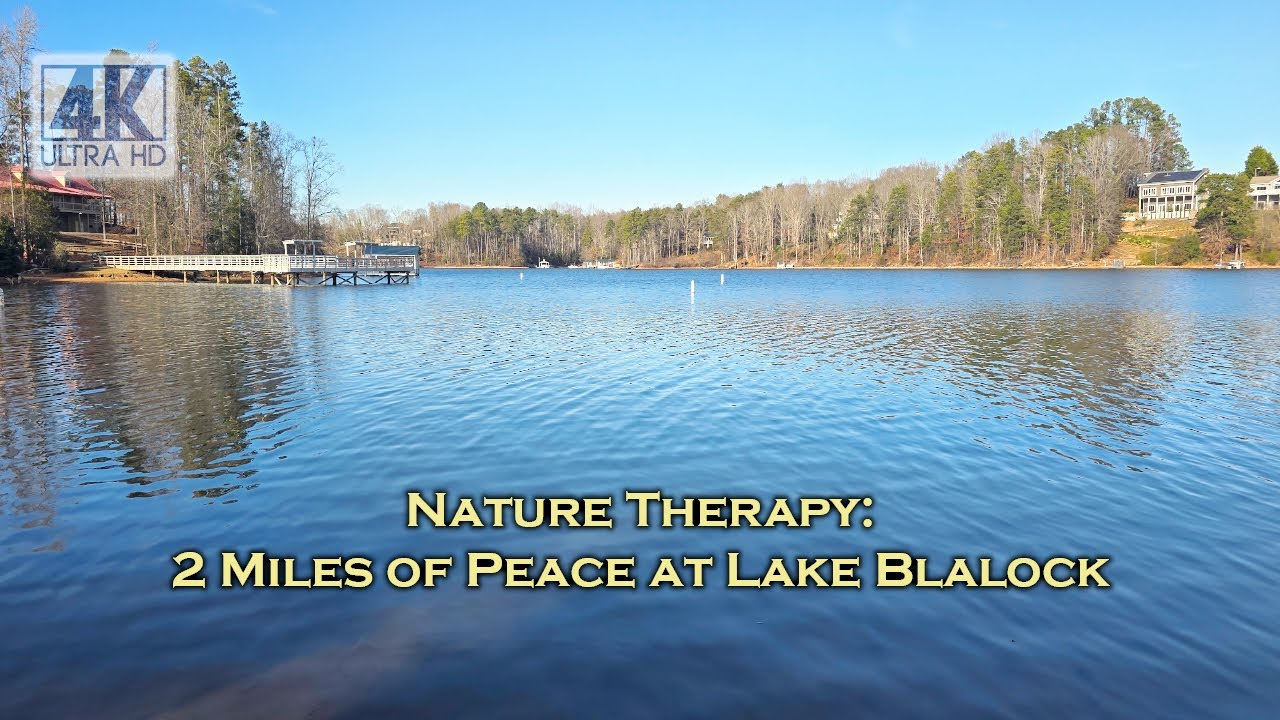 Nature Therapy: 2 Miles of Peace at Lake Blalock