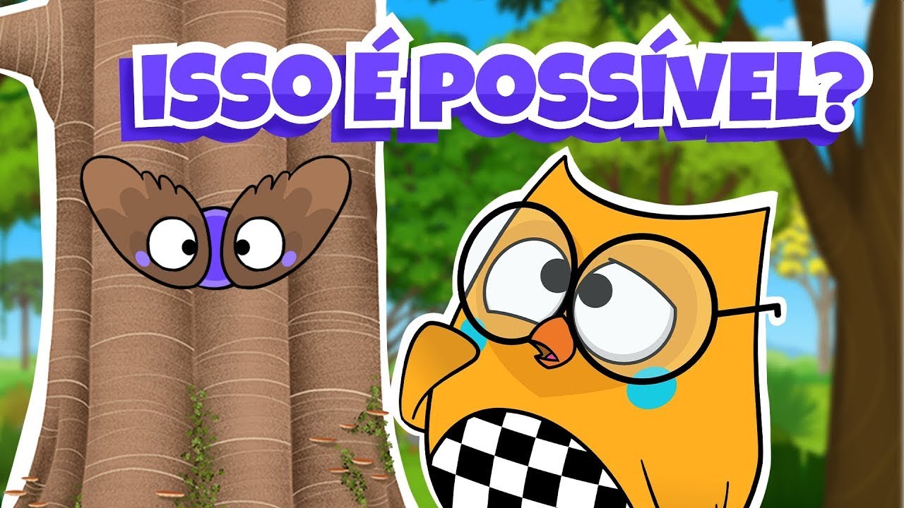 Árvore com Olhos de Coruja?! 😮 Episódio Completo 🦉 Desenho Animado Infantil Educativo