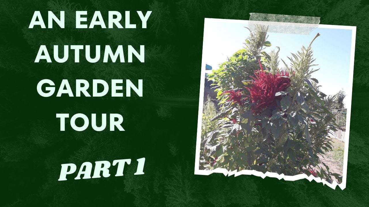 An Early Autumn Garden Tour Part 1
