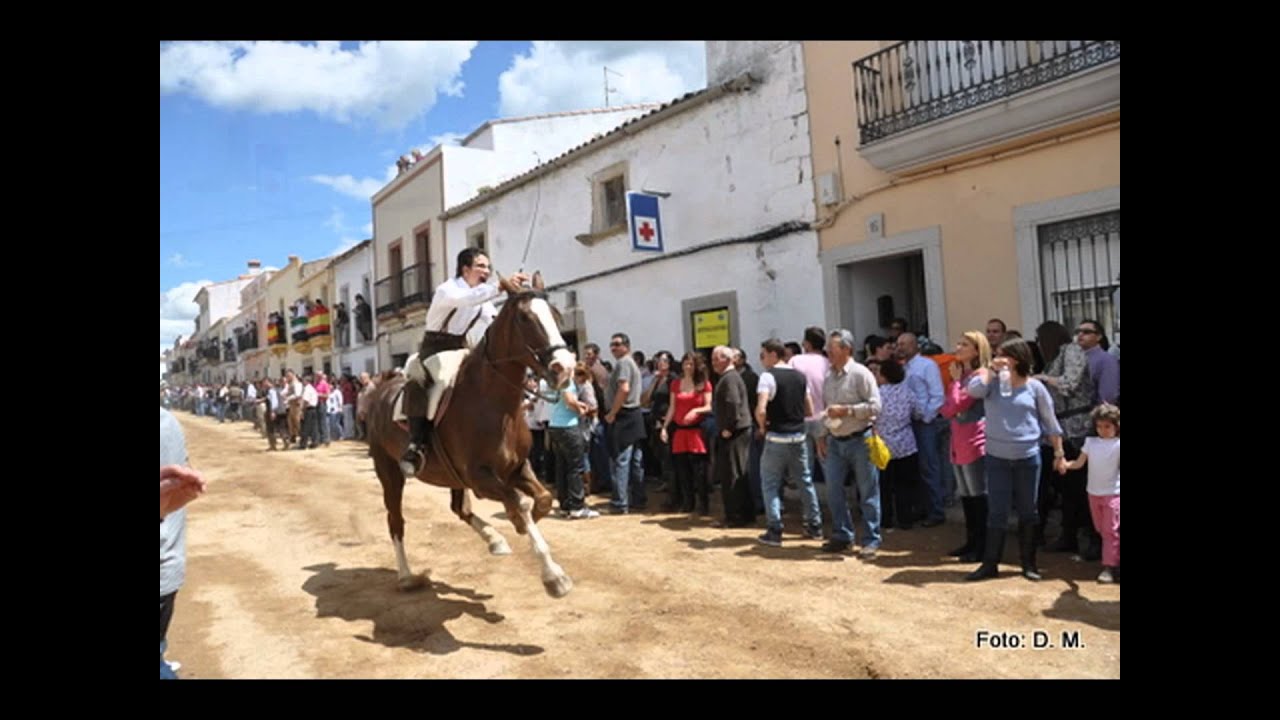 Dia de la Luz. Arroyo de la Luz. 2011