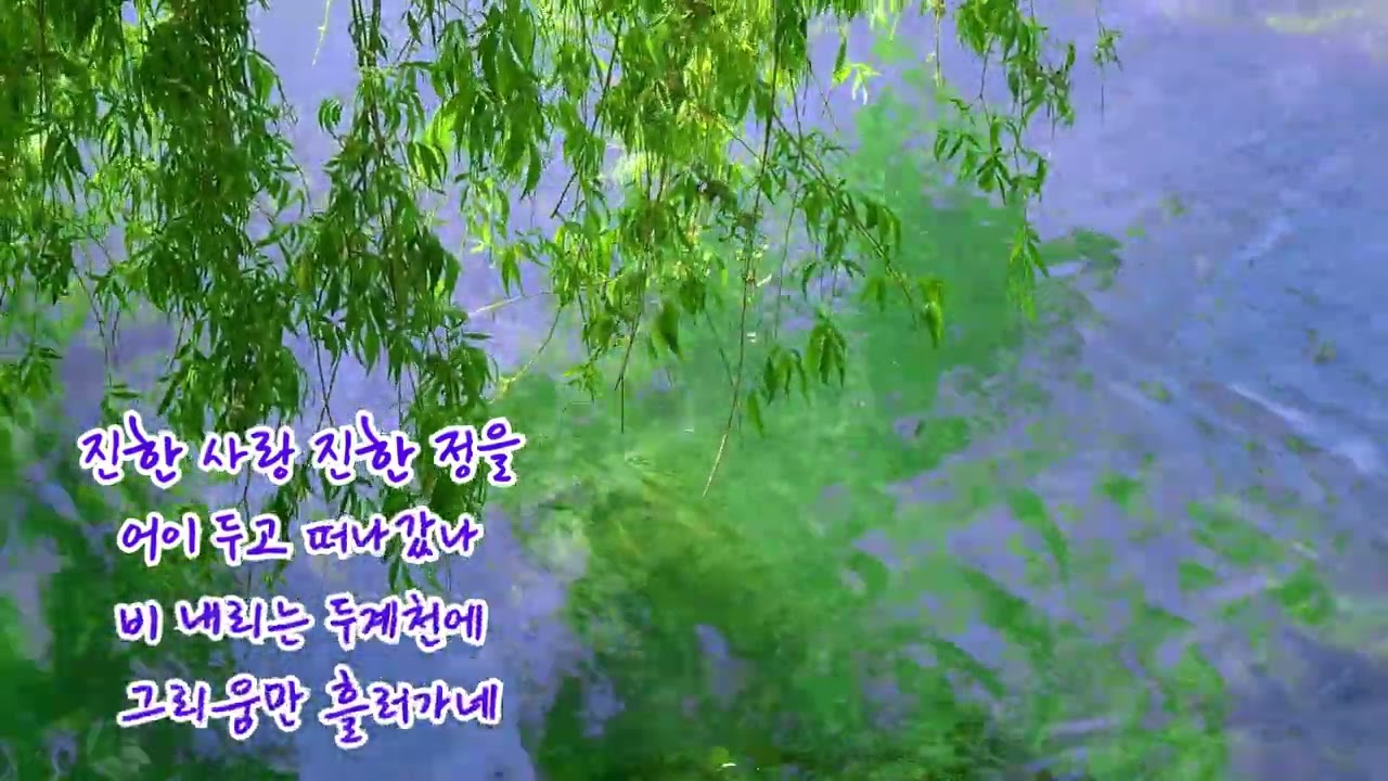 두계천 버드나무