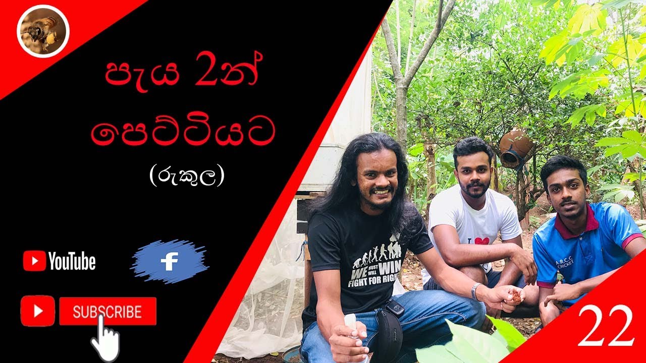 පැය 2න් පෙට්ටියට (රුකුල)