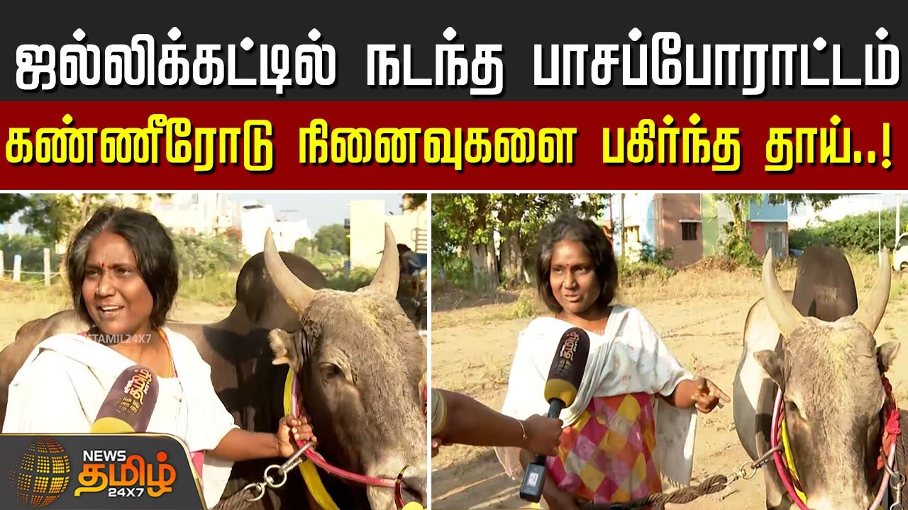 ஜல்லிக்கட்டில் நடந்த பாசப்போராட்டம்.. கண்ணீரோடு நினைவுகளை பகிர்ந்த தாய்..! | Avaniyapuram Jallikattu