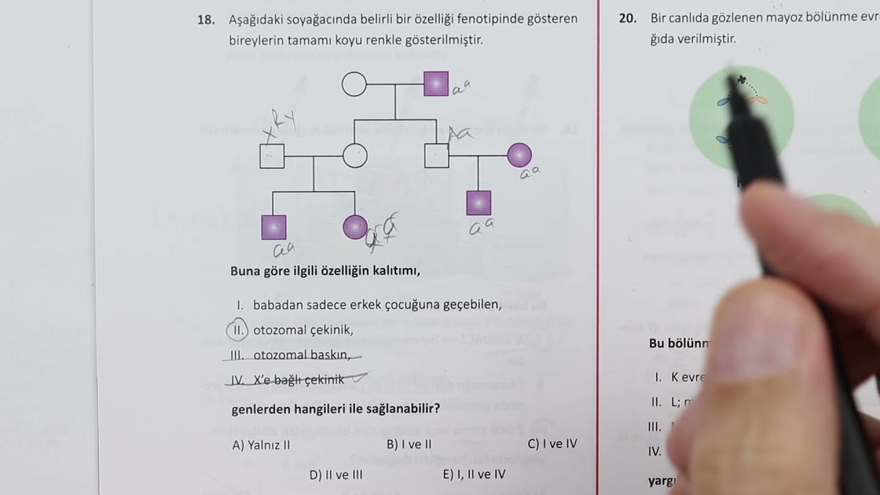 ÖZDEBİR Türkiye Geneli 1.Deneme sınavı TYT biyoloji soru çözümleri(Y211)