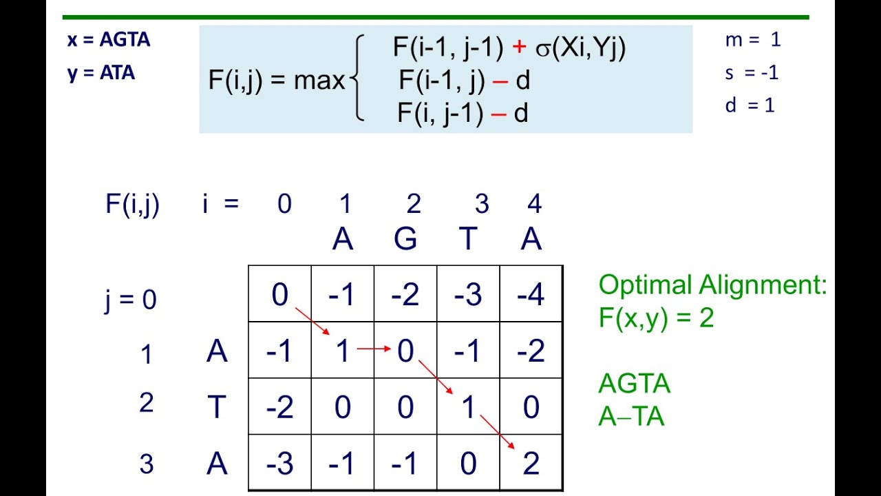 Bioinformatics - Alignment solved examples