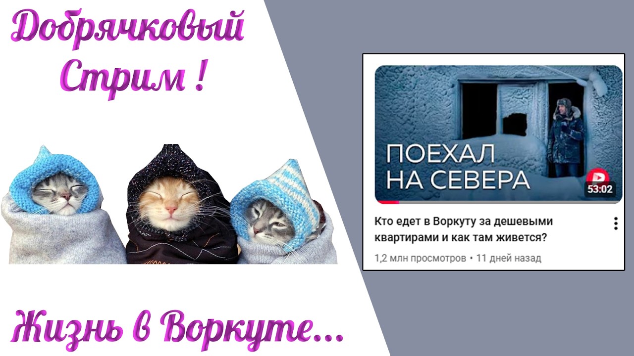 Добрячки смотрят 
