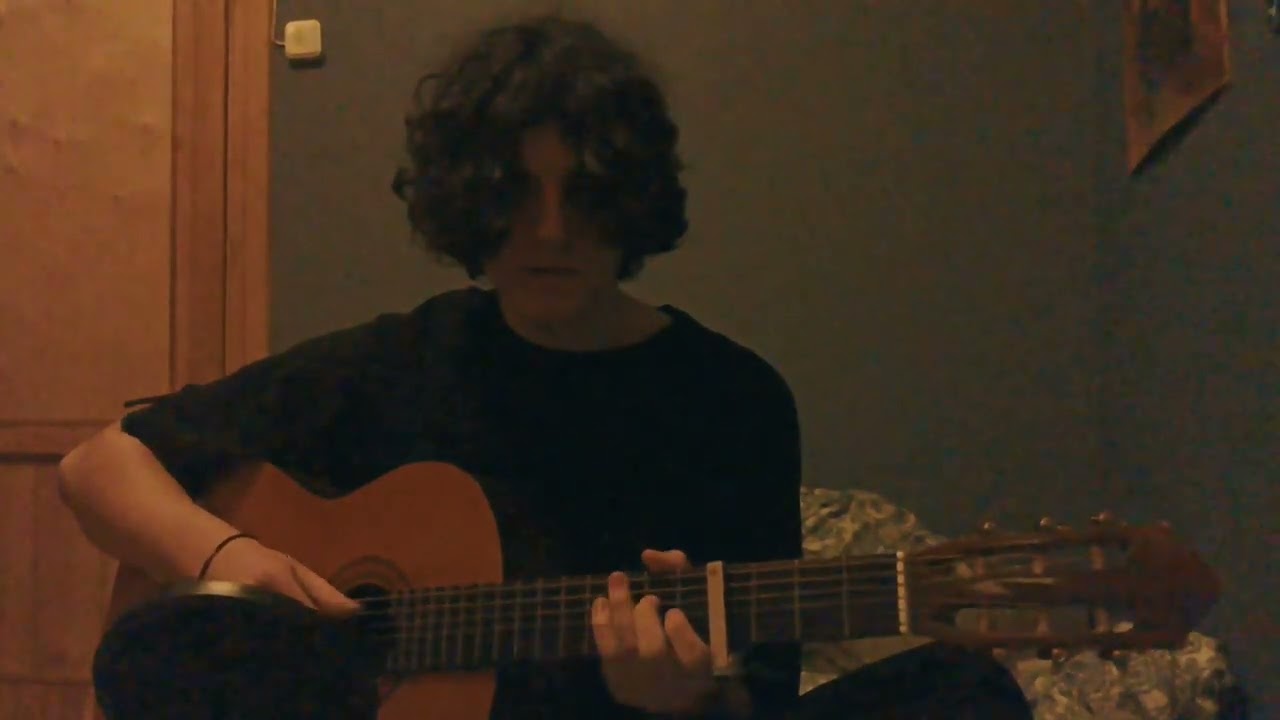 Wilbur Soot - Since I Saw Vienna (Cover)