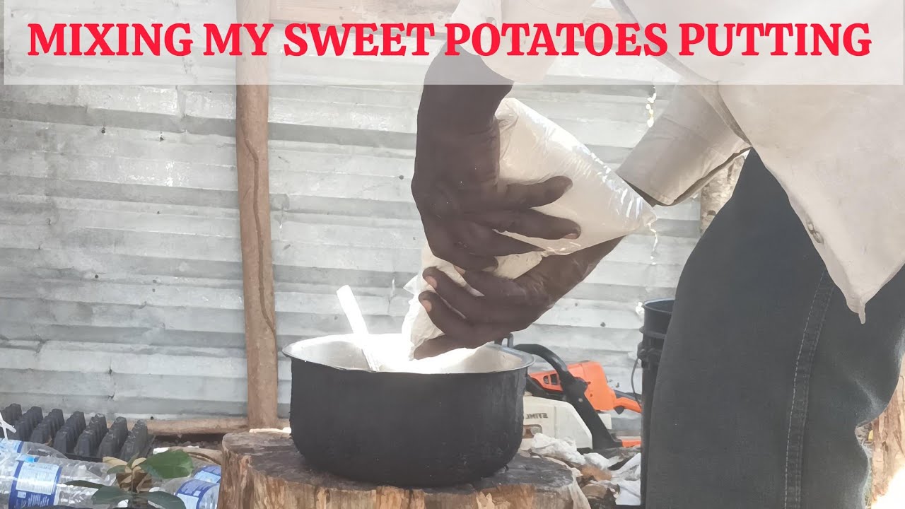 BAKING OUTDOOR SWEET POTATOES PUDDING NATURAL MIXTURE..