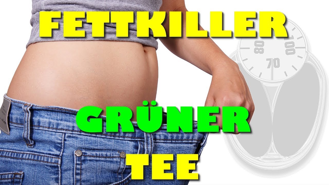 Gr&uuml;ner Tee als Fettkiller &ndash; wie Du mit gr&uuml;nem Tee abnehmen kannst