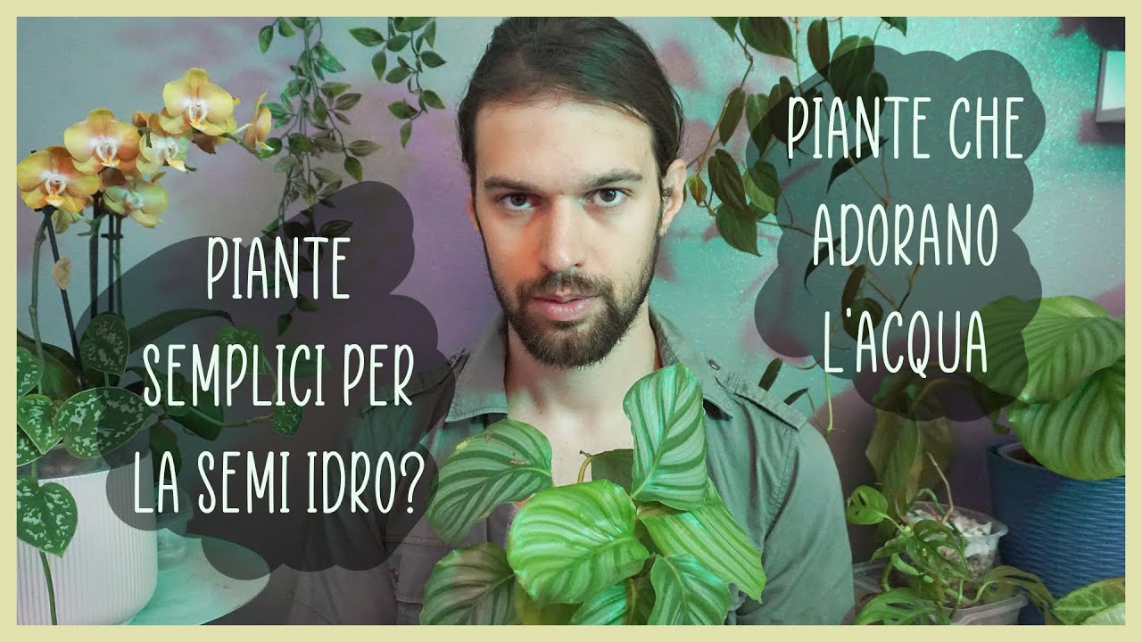 💧🌿Le piante più semplici per il primo approccio alla semi idroponica