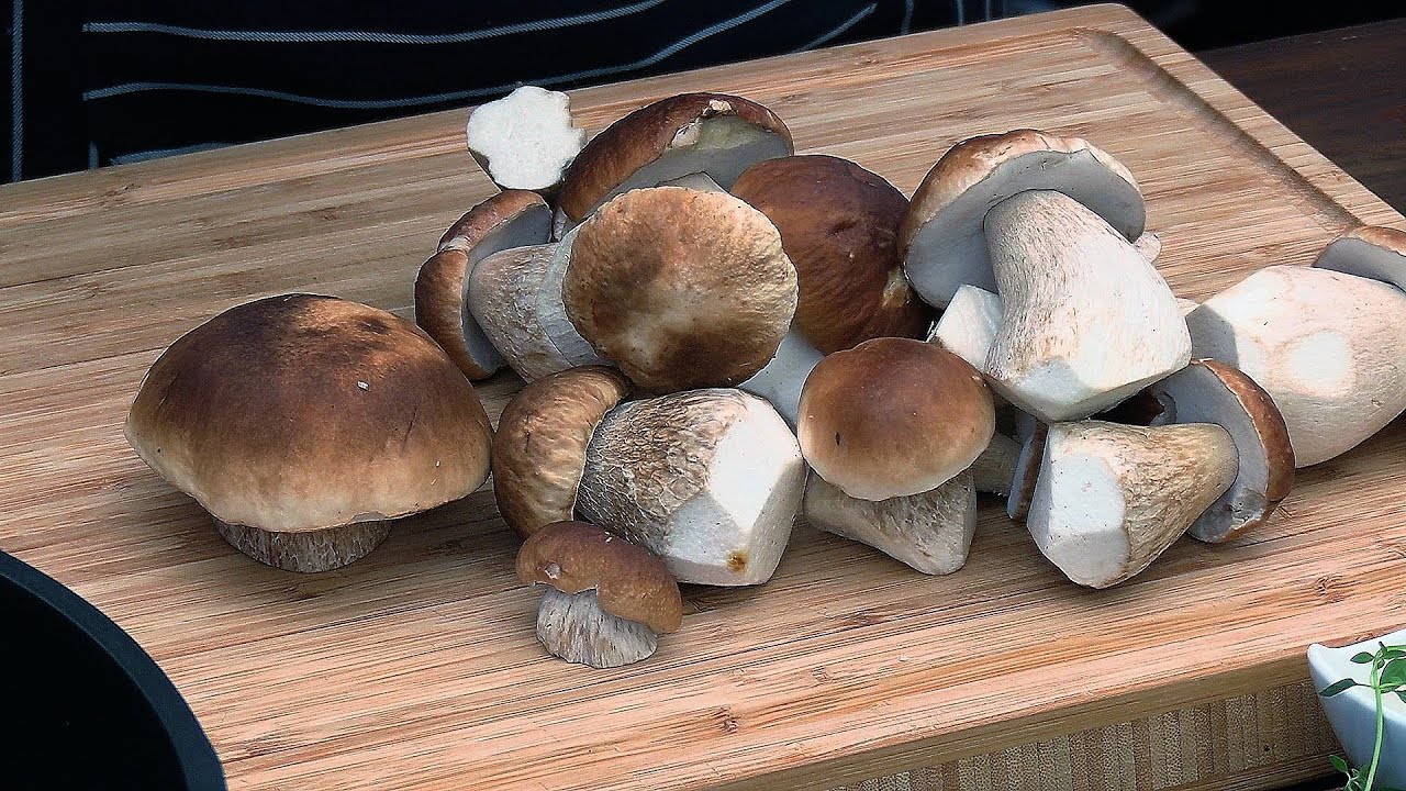 Leśne grzyby i makaron,brakło mi słów by określić smak/Oddaszfartucha