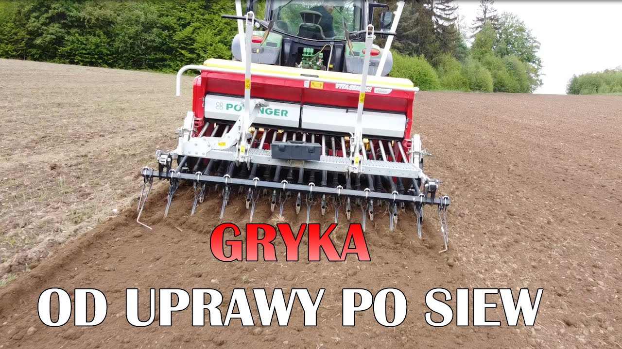 Gryka ekologiczna 2020 od uprawy po siew | Intro z drona | Uprawa, nawożenie, wymagania gryki | SR