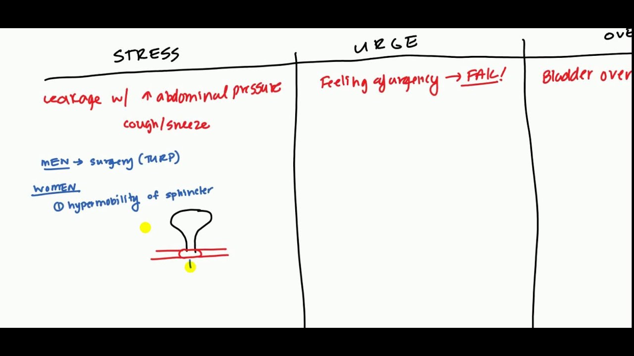 Urinary Incontinence for USMLE
