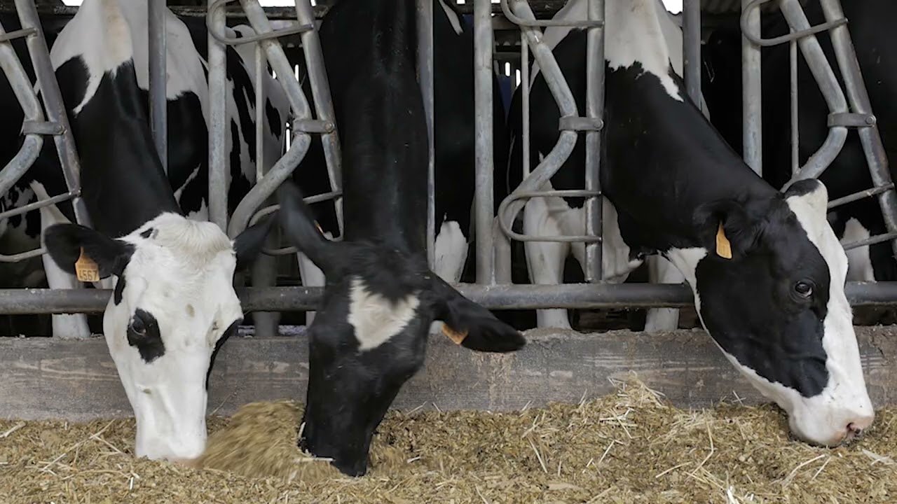 Fiers de vous nourrir 2026