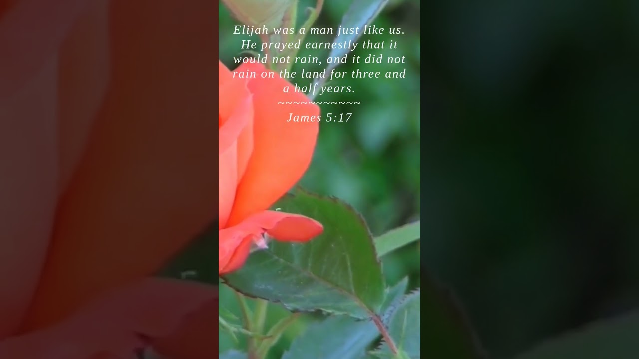 Bible | James 5:17 | Elijah was a man just like us ...