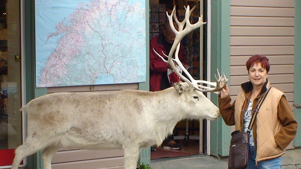 IviaggidiGian&Mery - NORVEGIA 2016 2^ -Lofoten  Tromso -ALTA - 'A'- Trondheim- Circ. Polare  Artico-