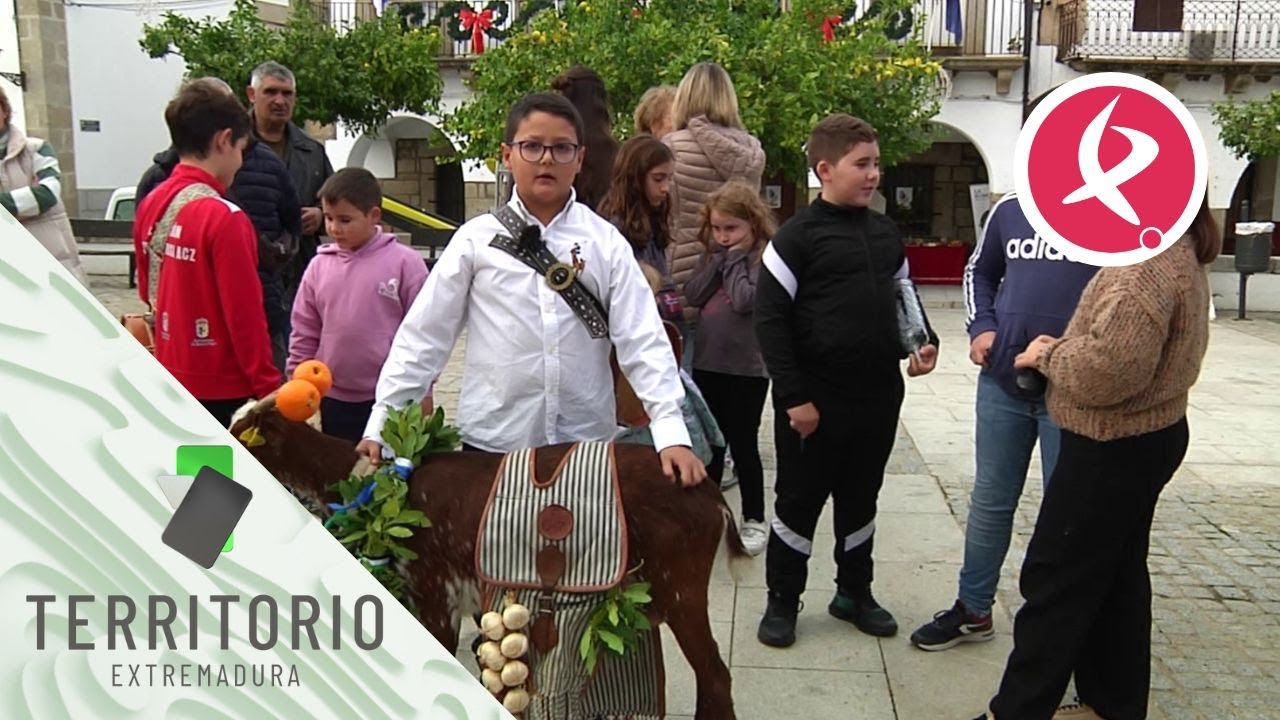 Ceclavín se prepara para La Borrasca | Territorio Extremadura