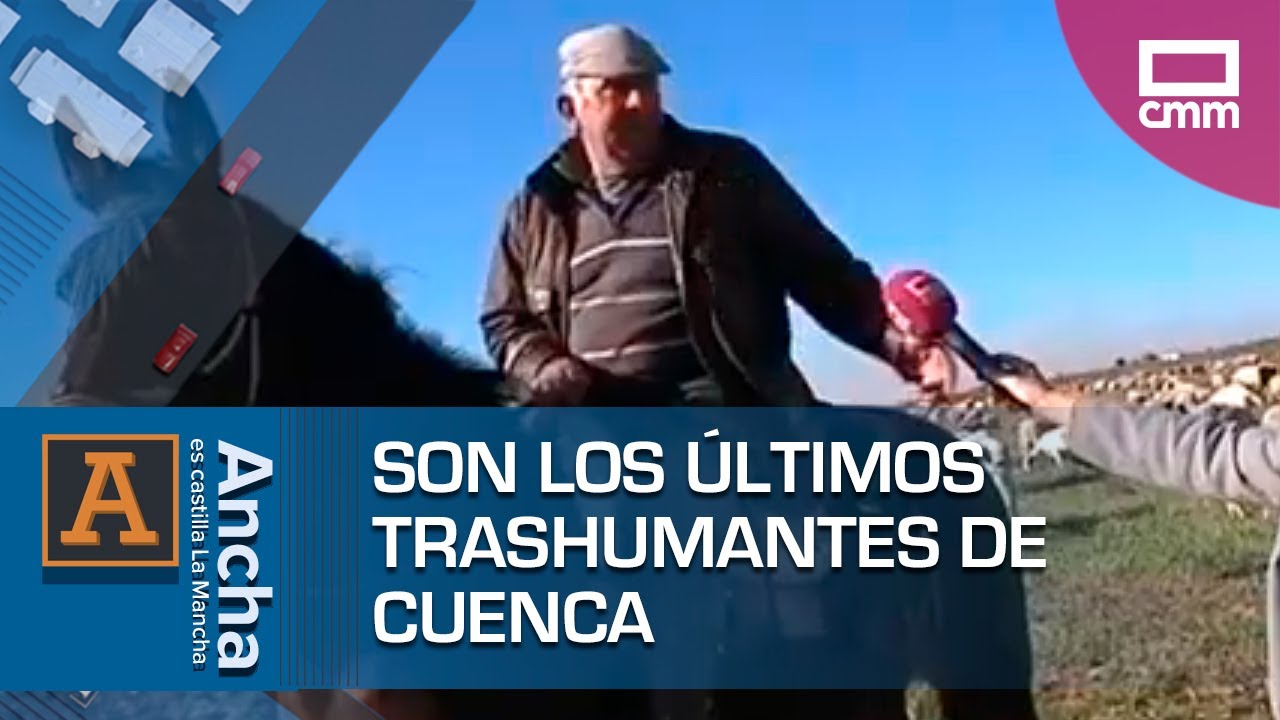 Son los últimos trashumantes de Cuenca