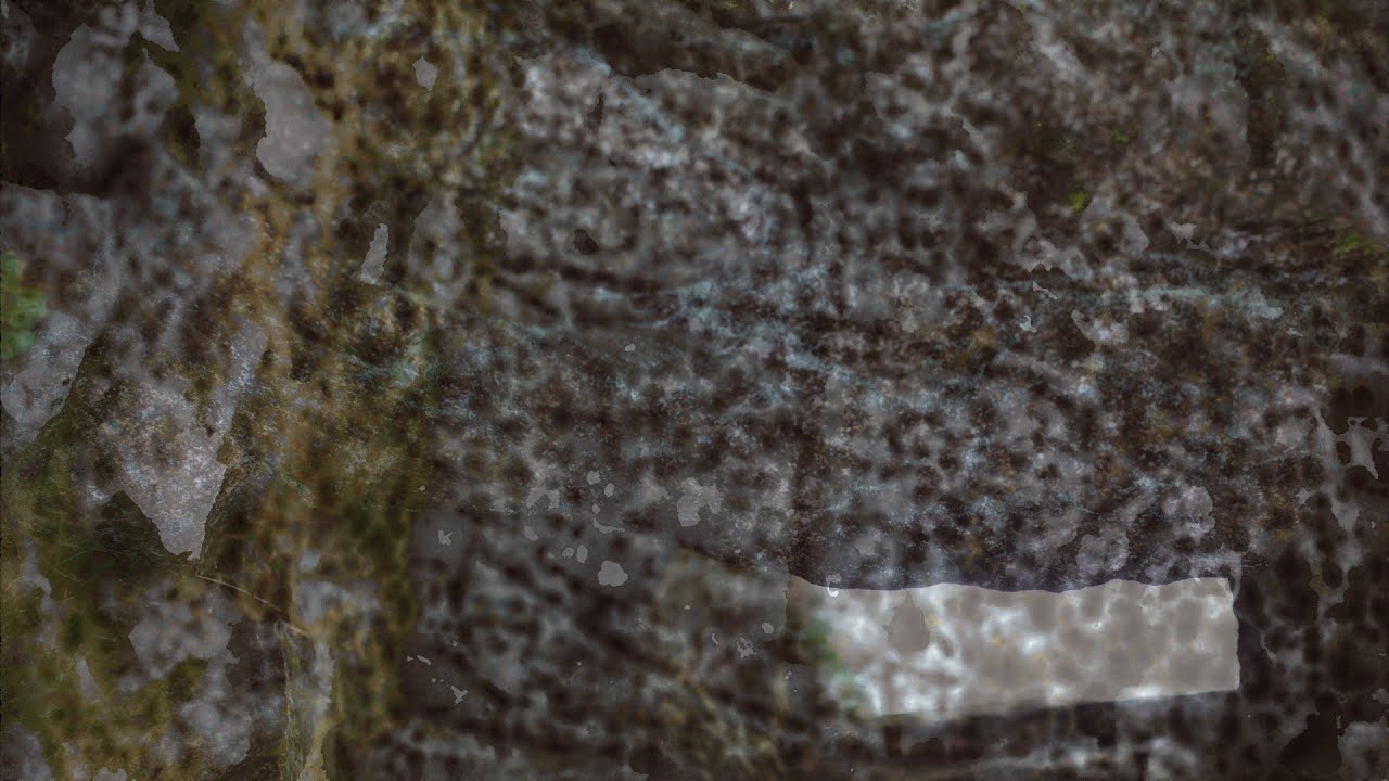Lichen - Entropy project with @loopinnerthe
