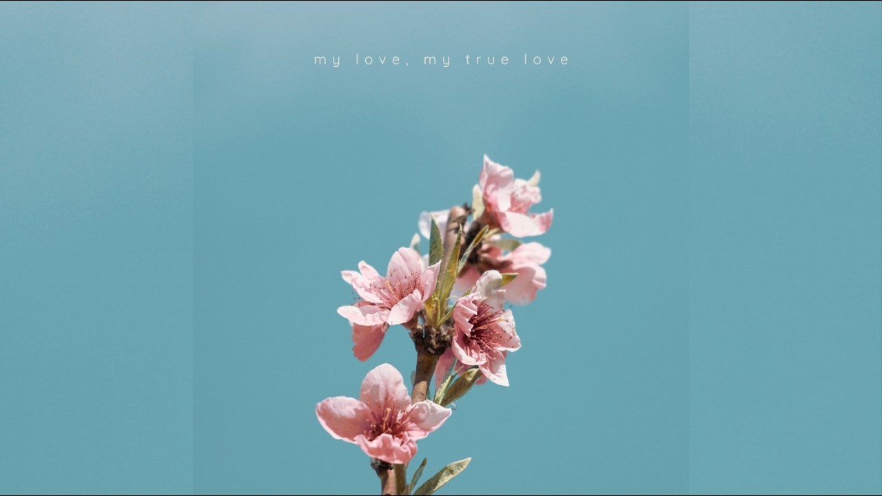 My Love, My True Love (Reimagined)