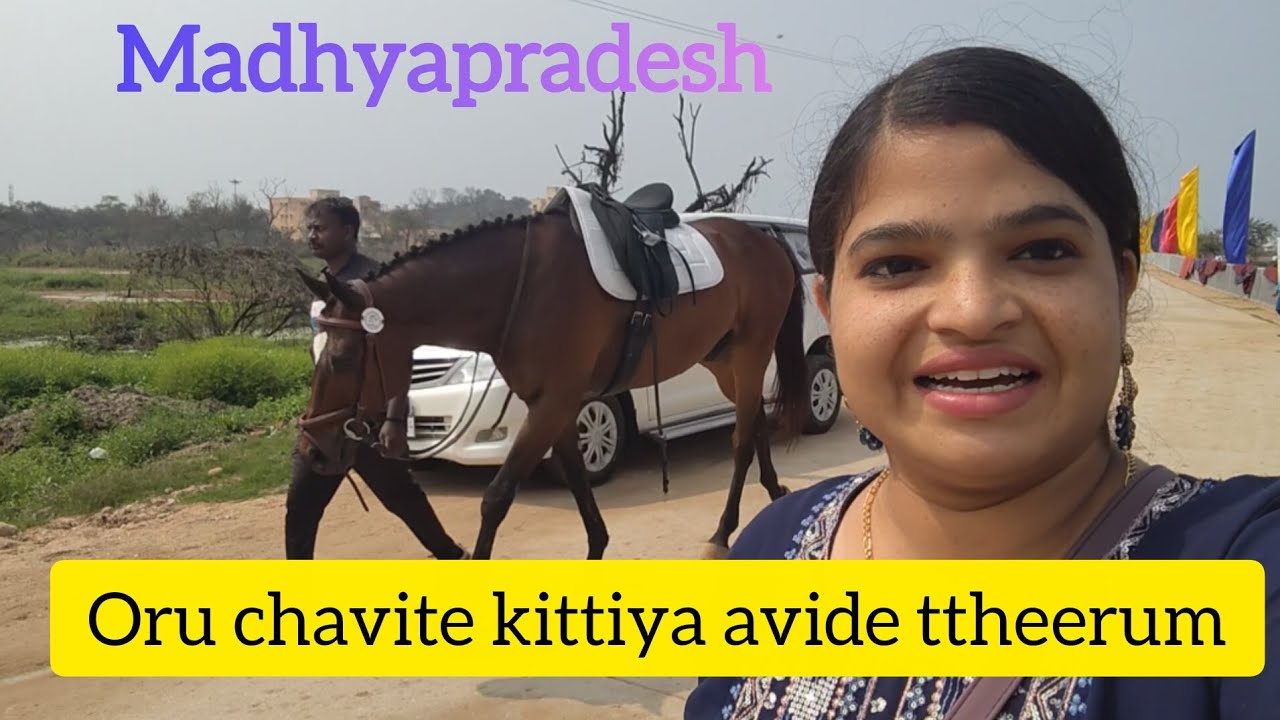 Oru chavite kittiya chathu pokum 😂 pettannu kandappo pedichu poyi😅 #