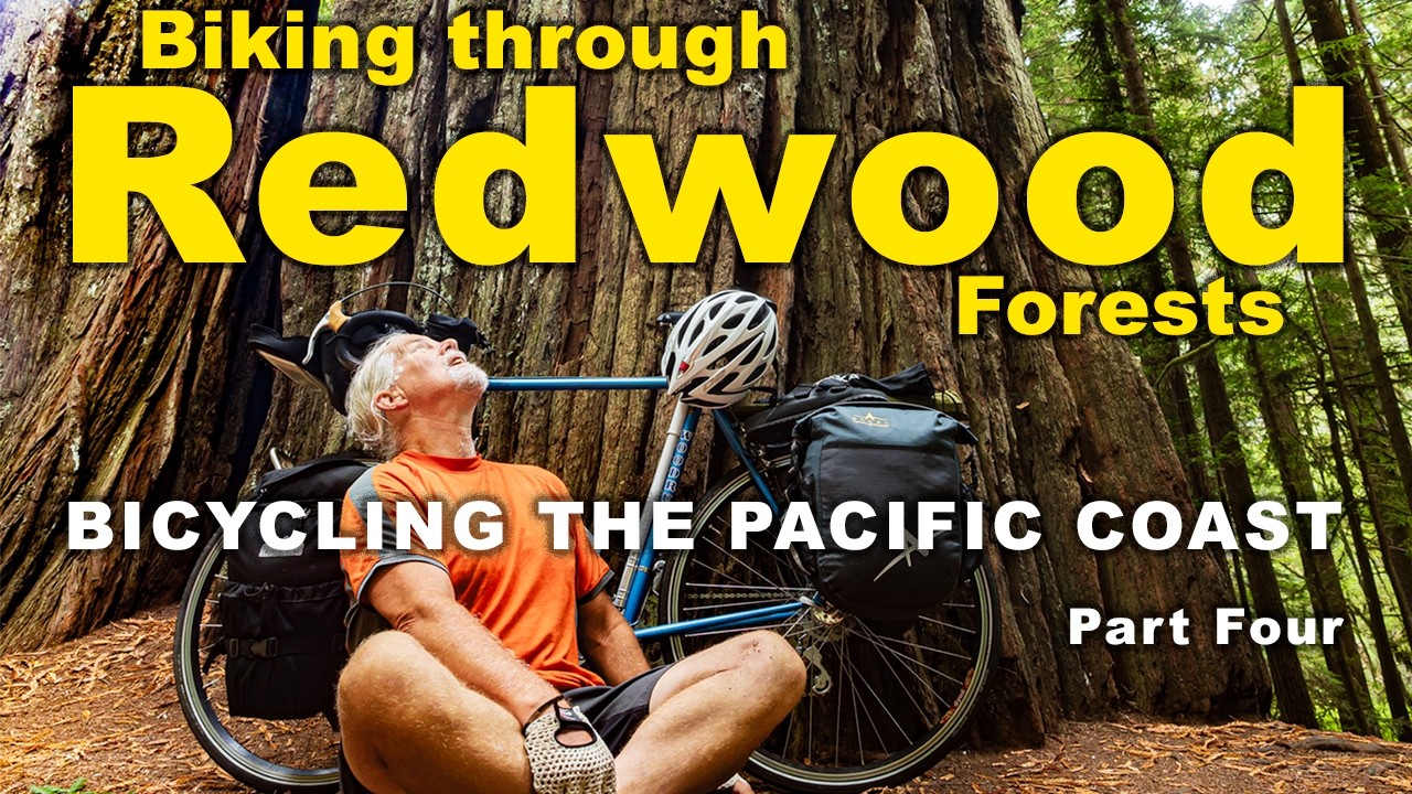 Into the Redwoods: Pacific Coast Bicycle Tour - Part Four