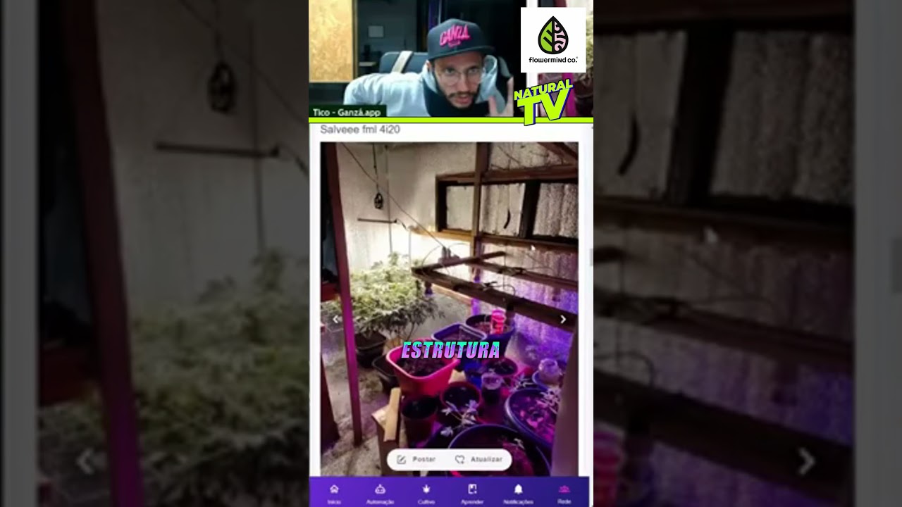 Cultivo de Baixo Custo! 💡🌱