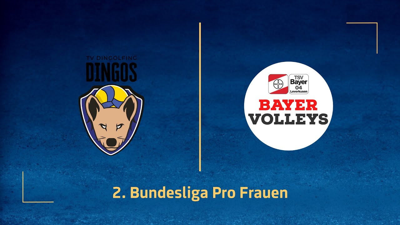 TV Dingolfing – BayerVolleys Leverkusen (2. Volleyball Bundesliga Pro F 25/26)