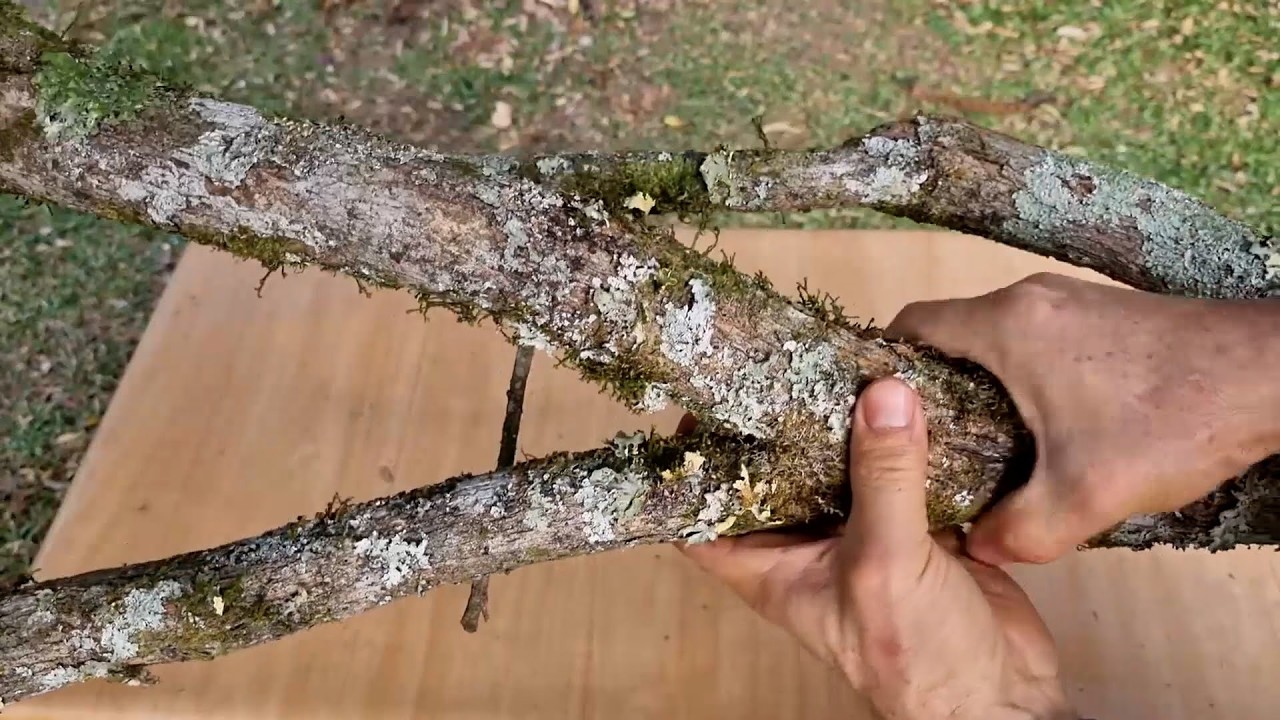 Transforme Galhos Secos em Arte para o Jardim 🌿 3 Ideias Criativas para Fazer em Casa