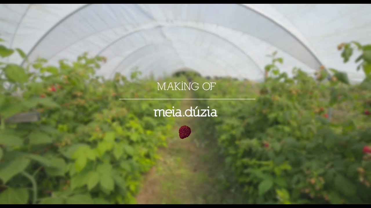 Meia Duzia - MakingOf