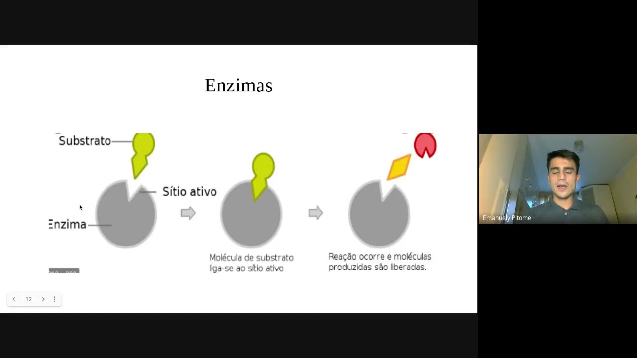Introdu&ccedil;&atilde;o a biologia molecular,  biologia celular e express&atilde;o g&ecirc;nica