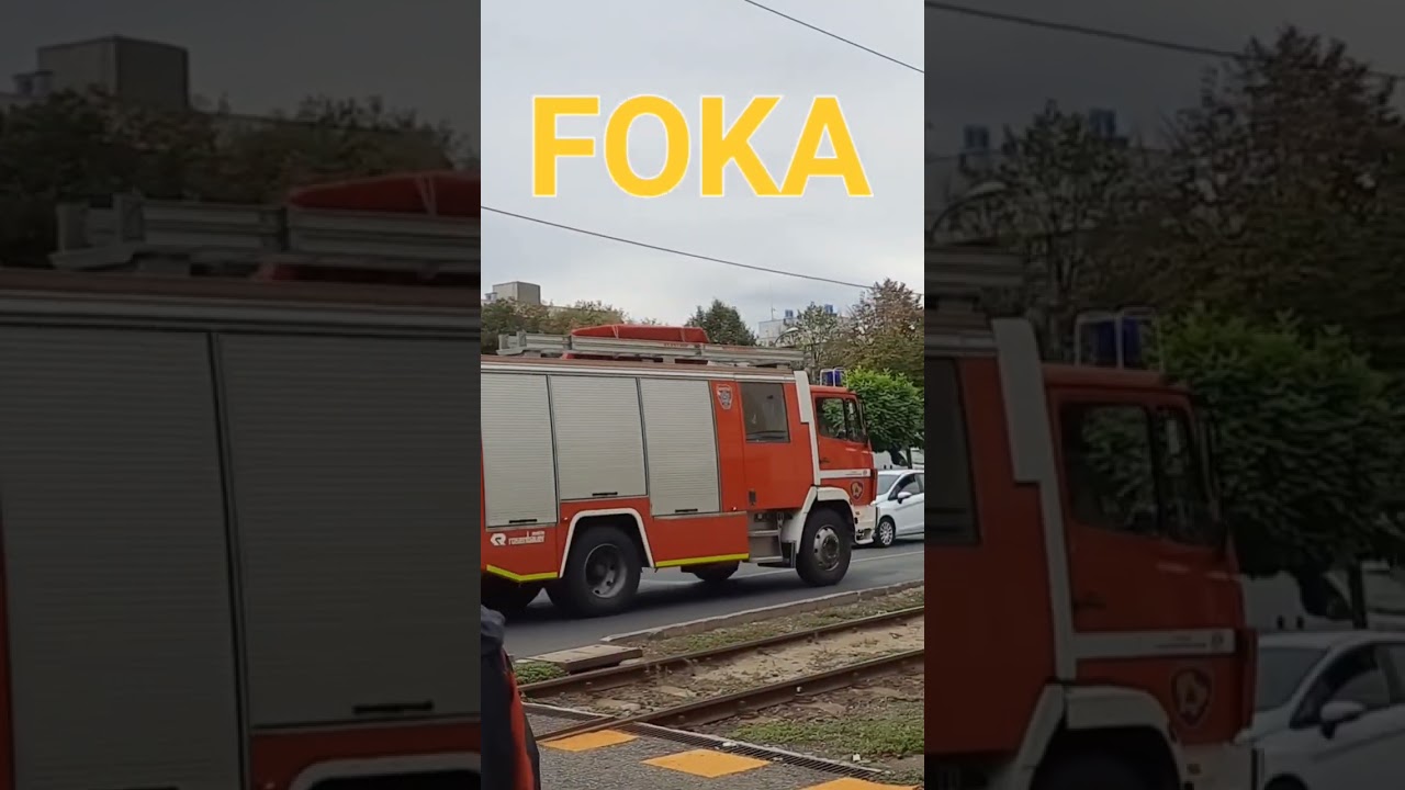 Vide&oacute;t k&eacute;sz&iacute;tette: Dallos Tam&aacute;s