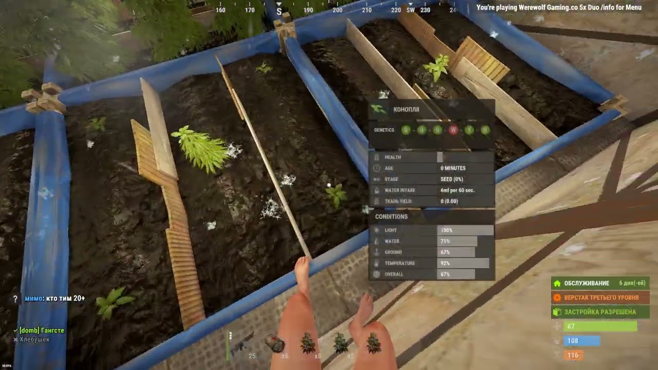 RUST - КАК БЫСТРО ВЫВЕСТИ ТОП ГЕН?
