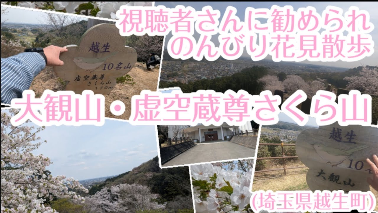 視聴者さんに勧められのんびり花見散歩