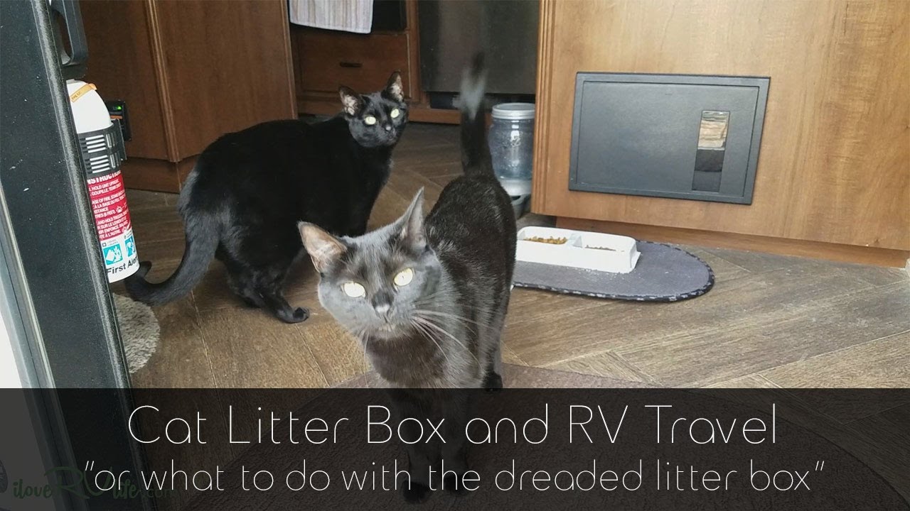 Cat Litter Box and RV Travel