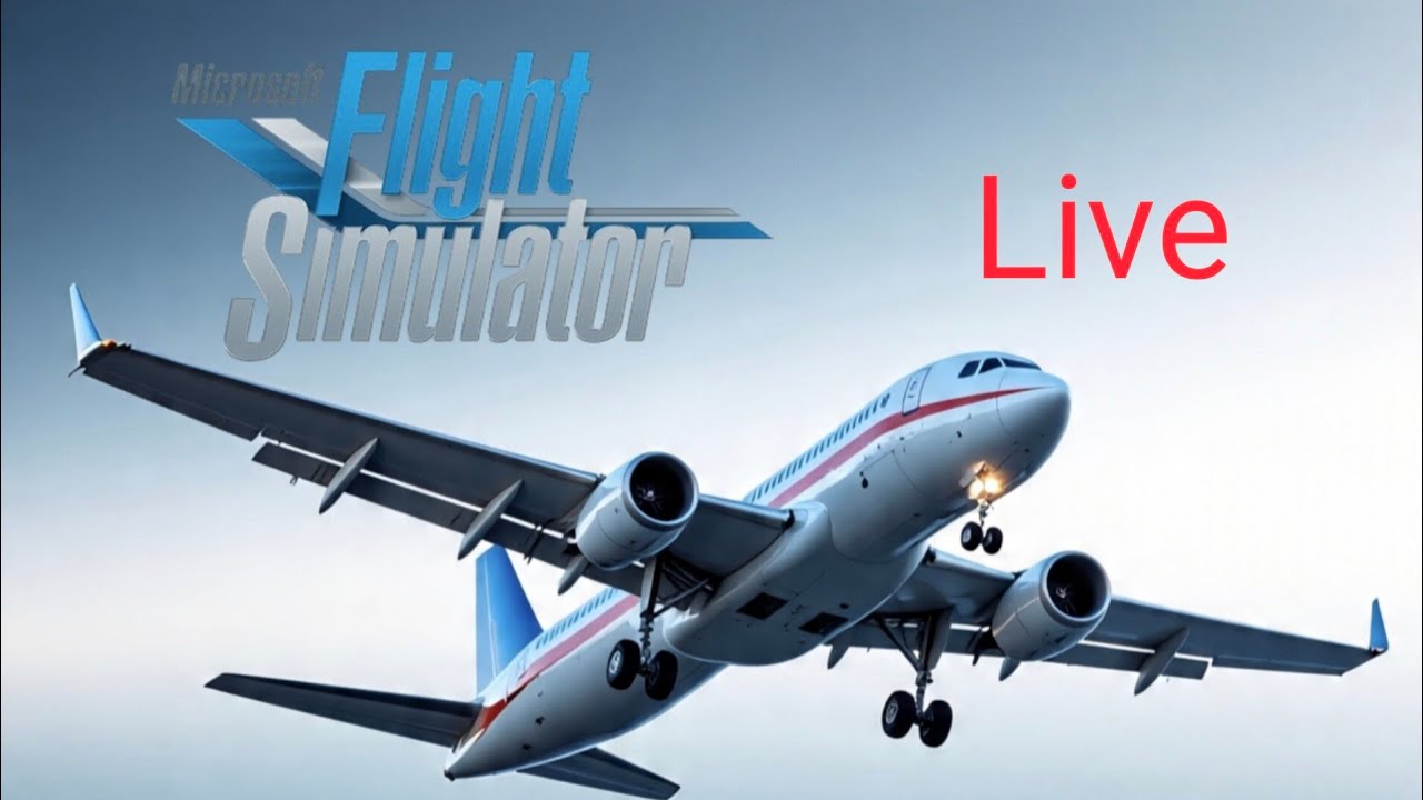 I am flying Indigo plane