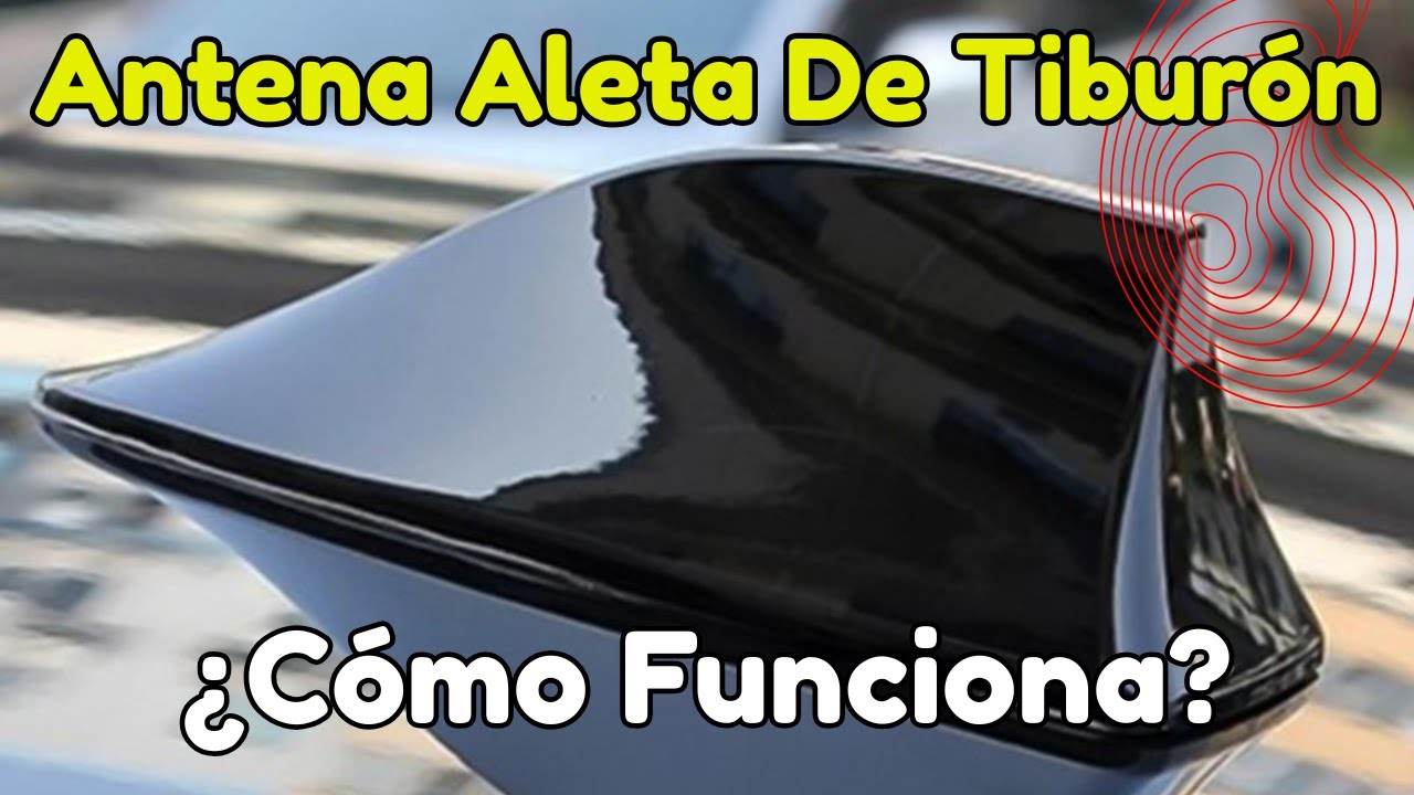 ¿Por Qué Los COCHES Tienen Una 