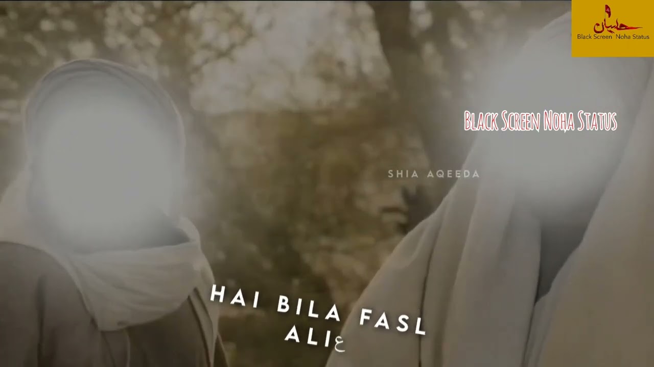 Eid e ghadeer wattsapp Status | #video #viral #eid #religion #noha #shia #eideghadeer #blackscreen