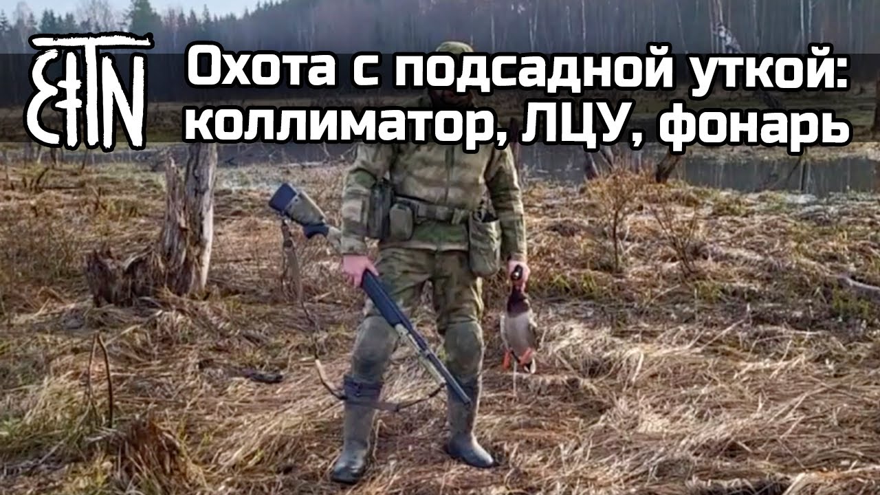 Теория и практика:  коллиматор, ЛЦУ и фонарь для охоты (охота с подсадной уткой)