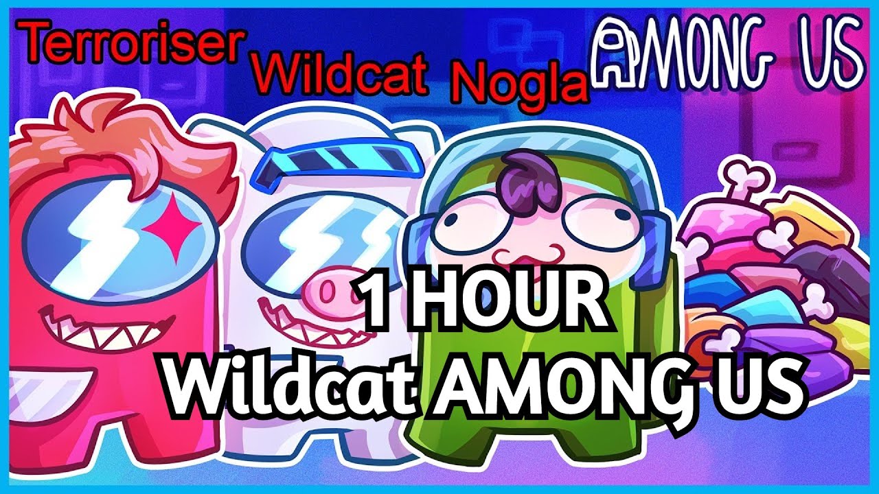 Wildcat Among Us Compilation #2 - 1 Hour - VanossGaming Compilation
