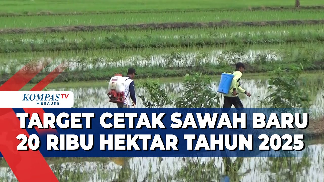 Target Cetak Sawah Baru 20 Ribu Hektar Tahun 2025