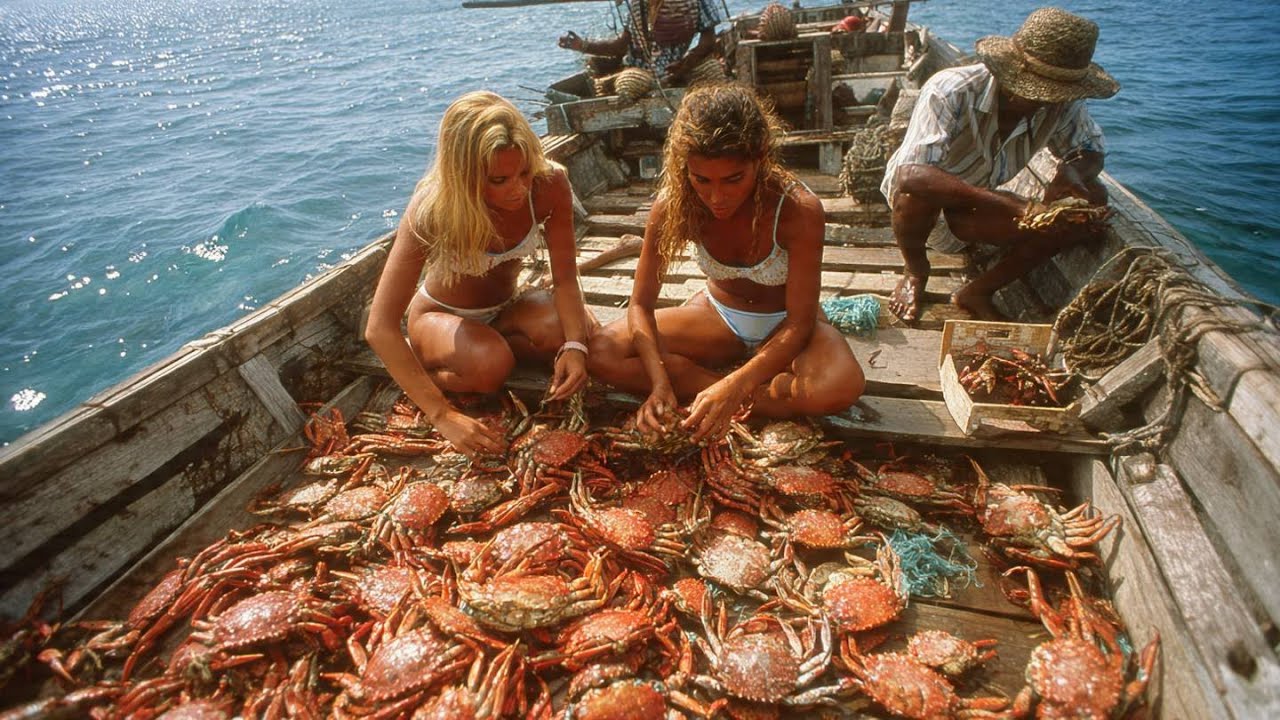 Trapping Millions of King Crabs – Inside Europe’s Deadliest Crab Fishing Expeditions!